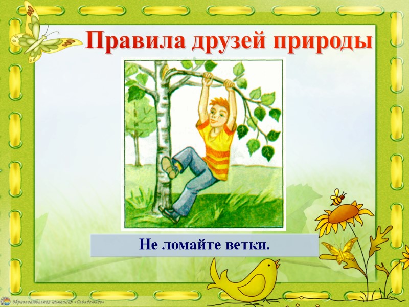 Не ломайте ветки. Правила друзей природы